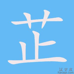 芷筆畫|字:芷 (注音:ㄓˇ,部首:艸) 